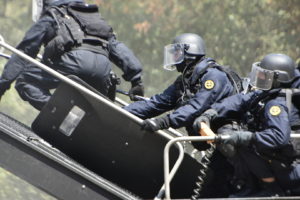 Gis dei Carabinieri (Foto Stato Maggiore Difesa)